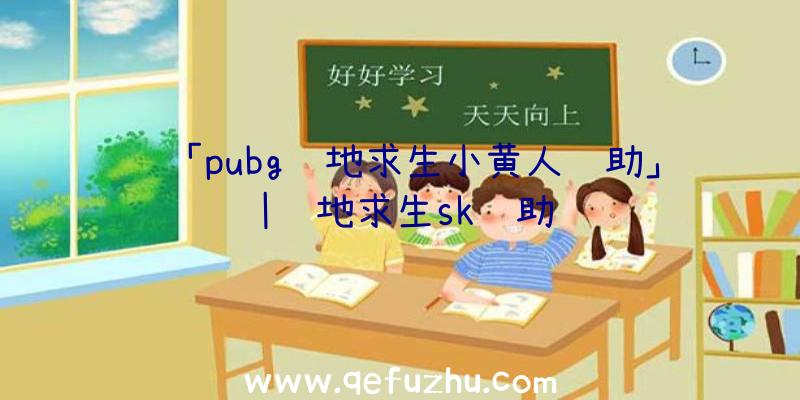 「pubg绝地求生小黄人辅助」|绝地求生sk辅助